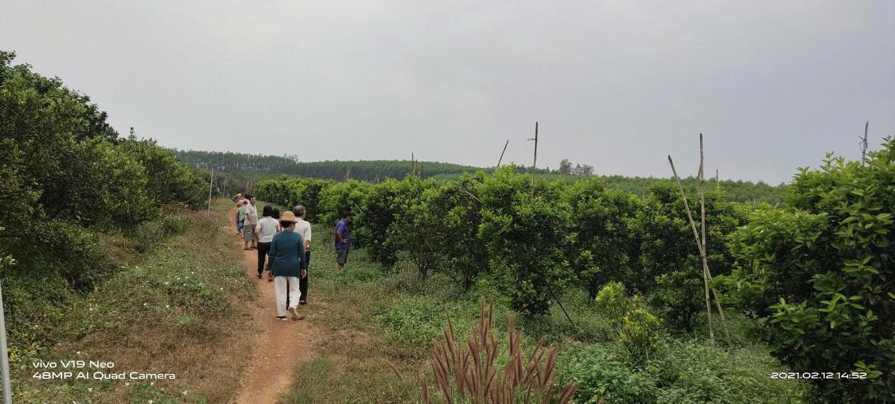 🌳 BÁN 7 ha – ĐẤT ĐANG TRỒNG CAM, CHANH, BƯỞI, THU HOẠCH ĐƯỢC 4 MÙA  – GẦN HỒ THỦY ĐIỆN TRỊ AN - ĐỒNG NAI