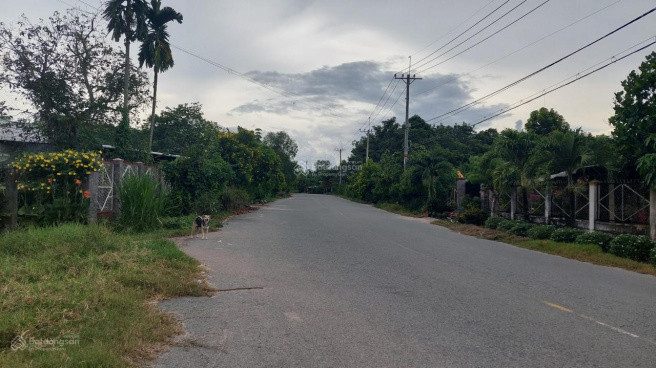 Bán đất 528m² có sẵn 100m² thổ cư ngang 10m giá 11.7 tỷ tại Xã Hồ Tràm