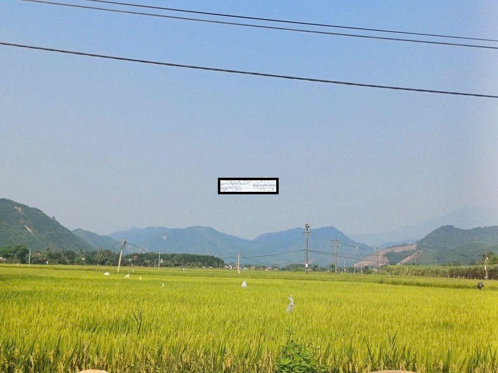 BÁN ĐẤT VIEW CÁNH ĐỒNG HÒA BẮC 📌📌📌LÀM VIỆC TRỰC TIẾP GIÁ TỐT !!!