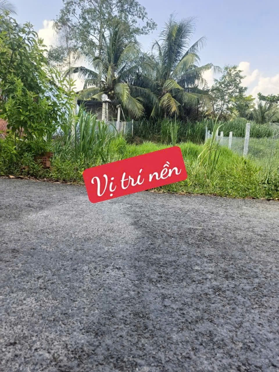 Nền lộ nhựa 5 tấn