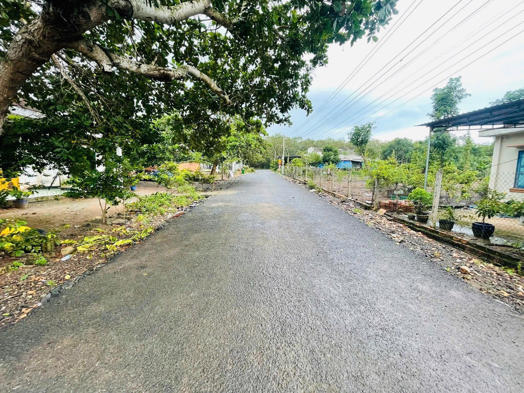 Bán đất ở 300m² ngang 10m full thổ cư giá 1.2ty Xã Hòa Hội, xuyên mộc, vũng tàu giá siêu rẻ