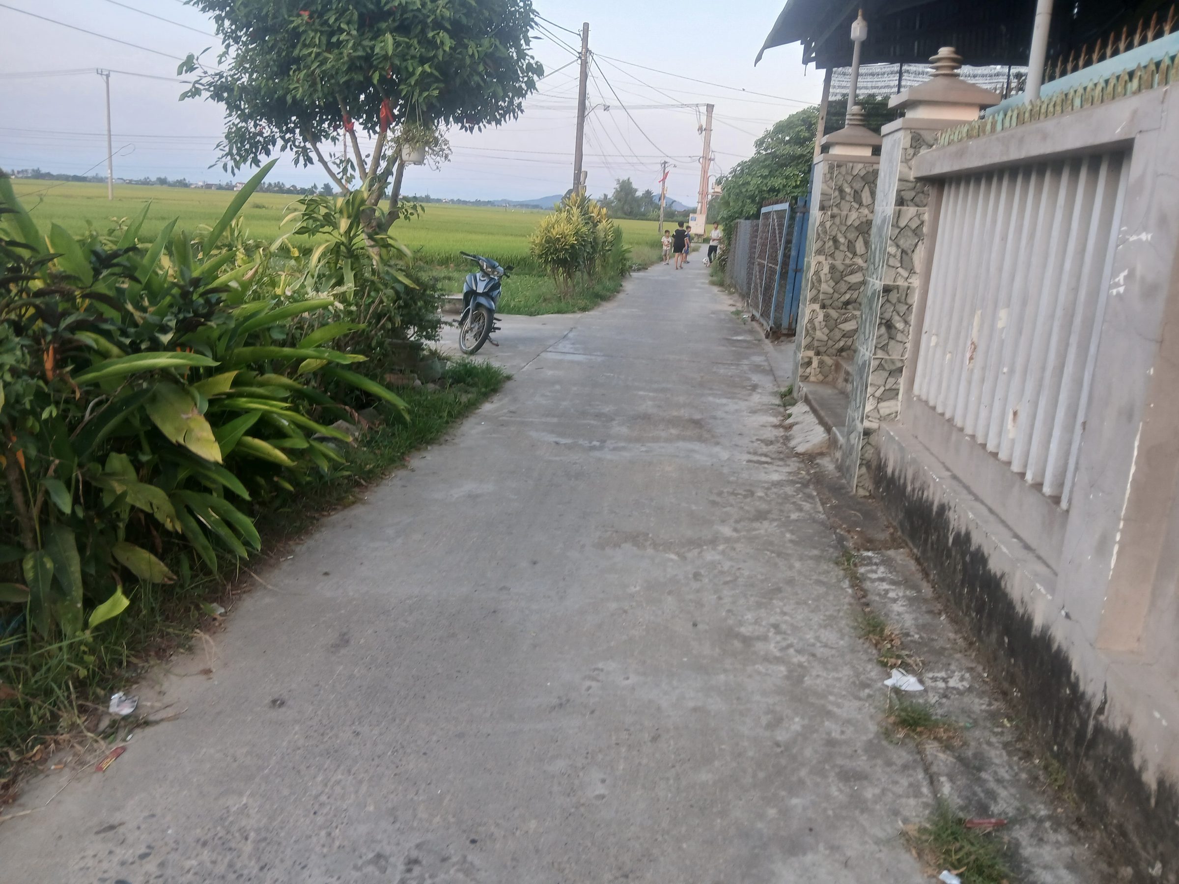 Bán Nhà Cấp 4, 15x25 Thôn Phú Nhiêu, xã Hòa Mỹ Đông, Huyện Tây Hòa. Giá 200 Triệu.