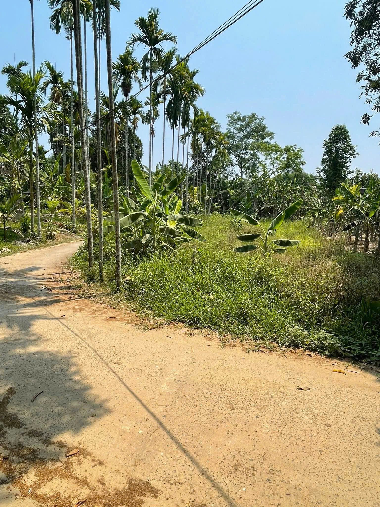 📌📌📌LÀM VIỆC TRỰC TIẾP GIÁ TỐT !!! Bán đất thôn Diêu Phong, xã Hòa Nhơn