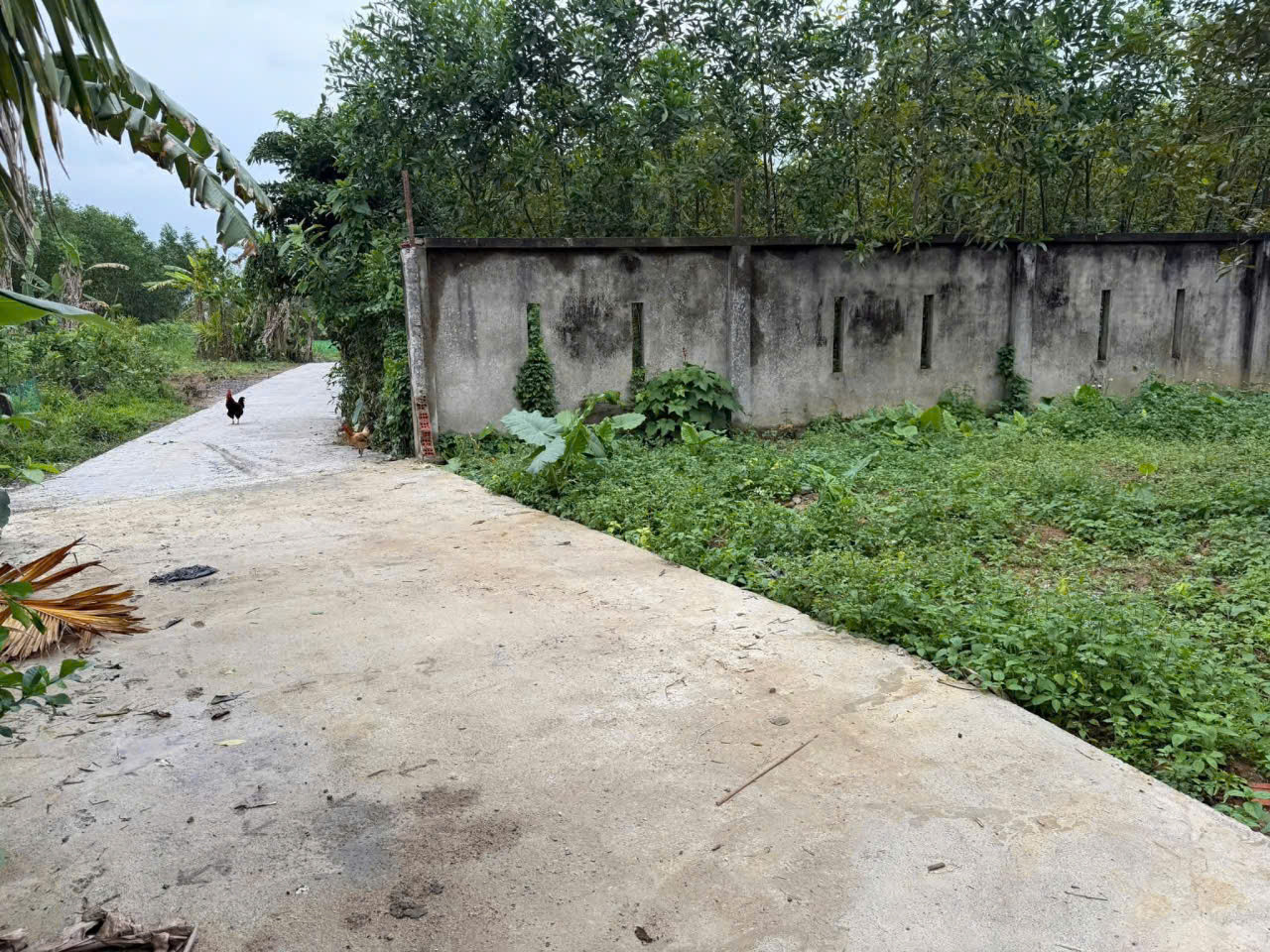 📌📌📌LÀM VIỆC TRỰC TIẾP GIÁ TỐT !!! ĐẤT BIỆT THỰ VƯỜN HÒA NHƠN 400M2 2.4TỶ