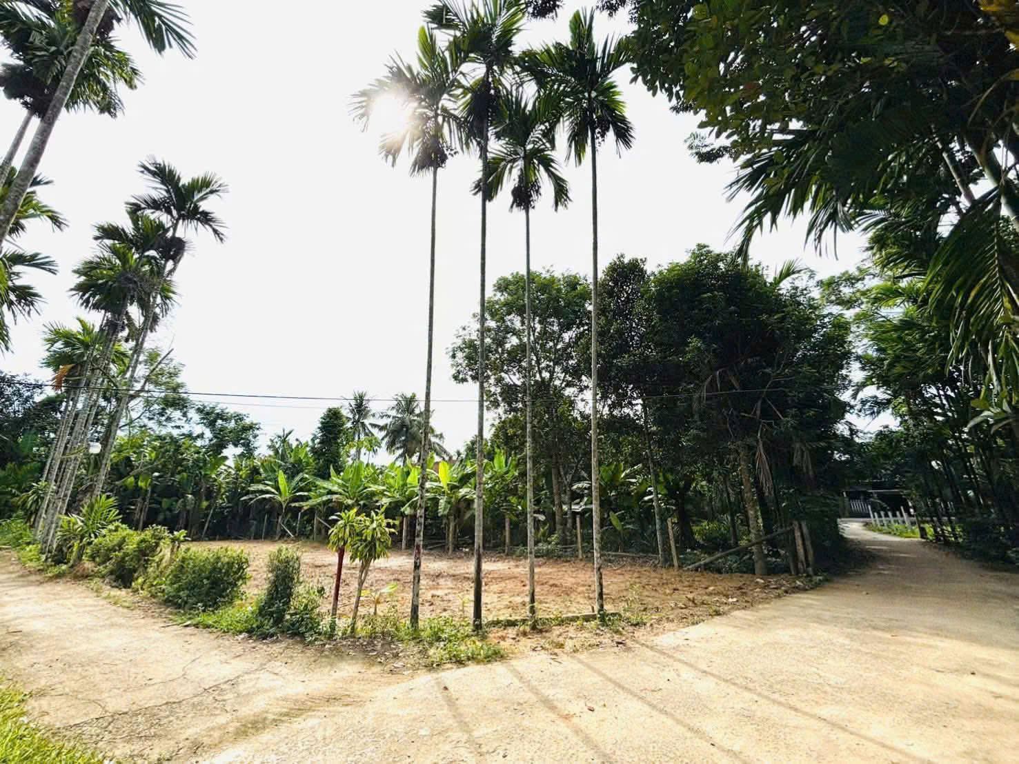 Đất vườn 2MT Diêu Phong 📌📌📌LÀM VIỆC TRỰC TIẾP GIÁ TỐT
