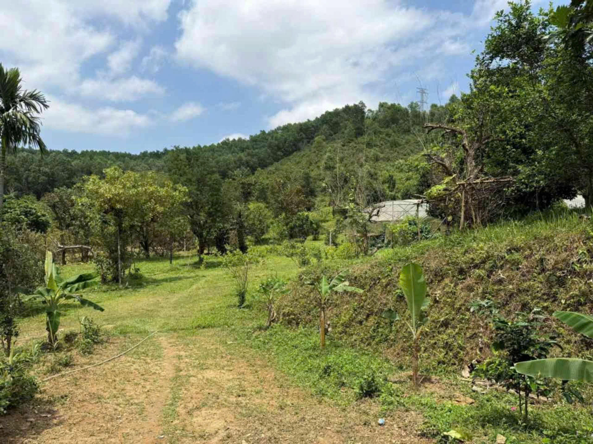 BÁN TRANG TRẠI FARMSTAY HÒA NINH HÒA VANG ĐÀ NẴNG 📌📌📌LÀM VIỆC TRỰC TIẾP GIÁ TỐT !!!