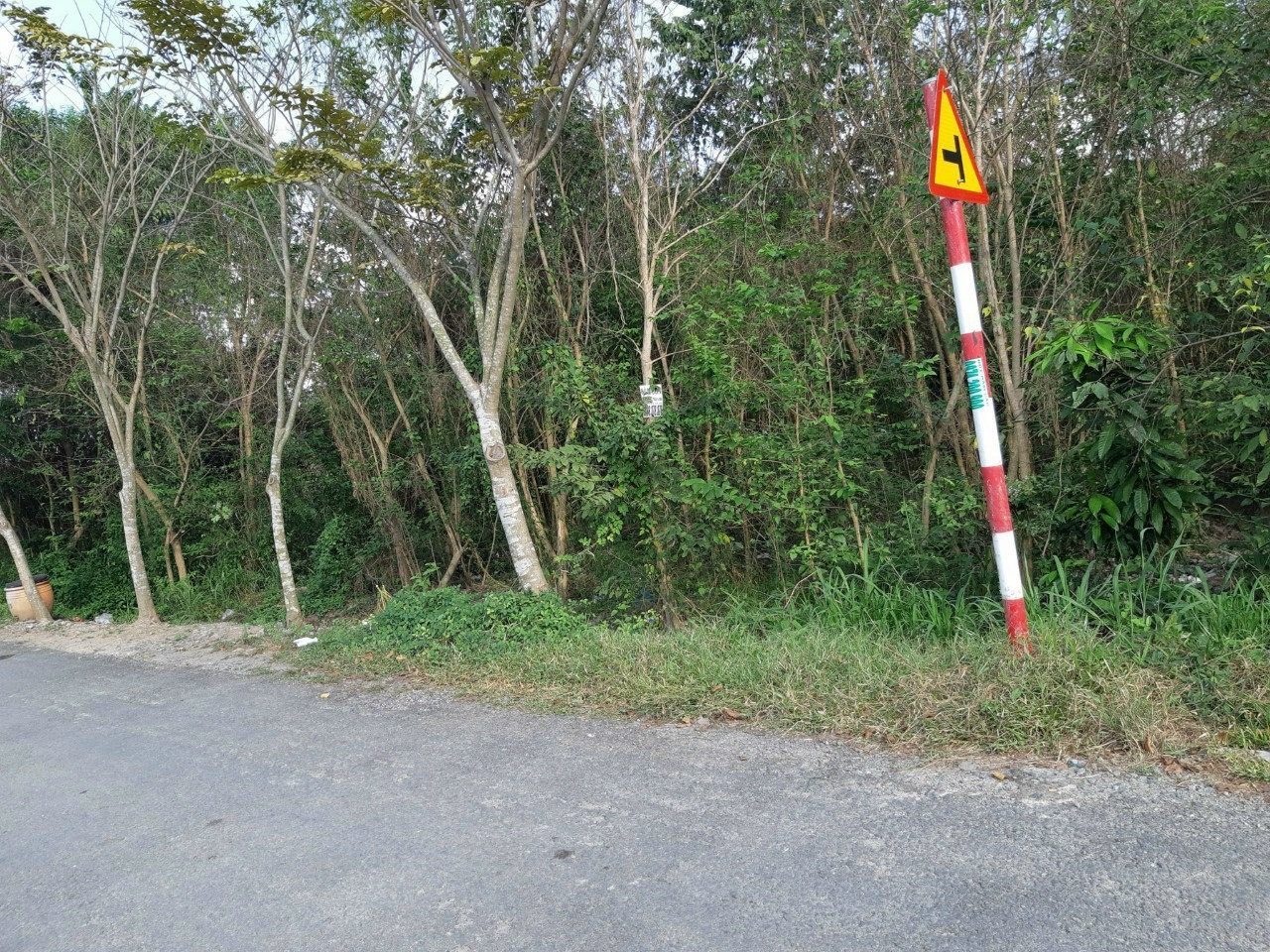 Ban dat cu chi