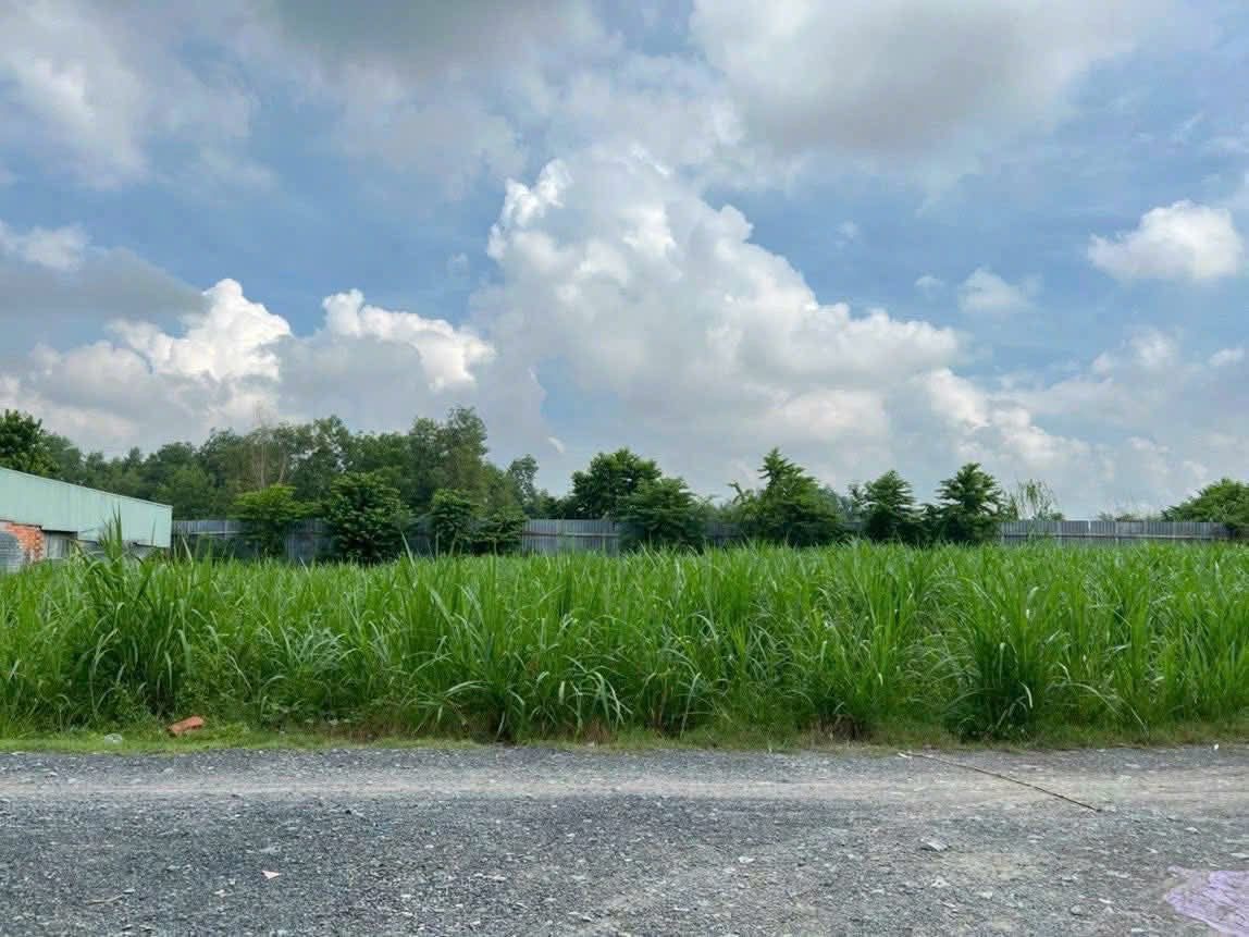 Bán đất thổ cư đường xe tải xã Hòa Phú Củ Chi TPHCM, DT: 36x28m.