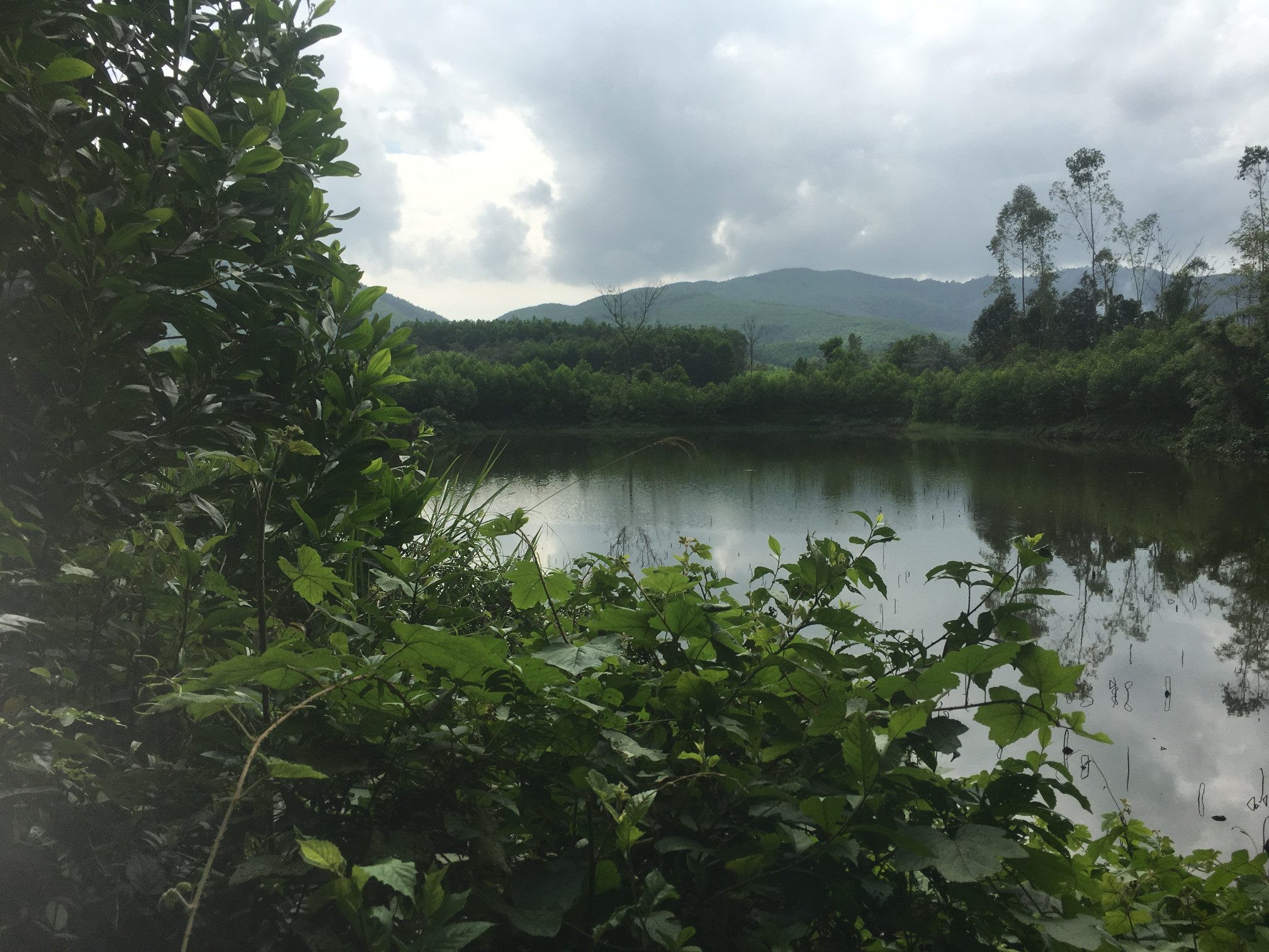 Bán đất làm trang trại du lịch, nhà vườn, farmstay tại Đà Nẵng