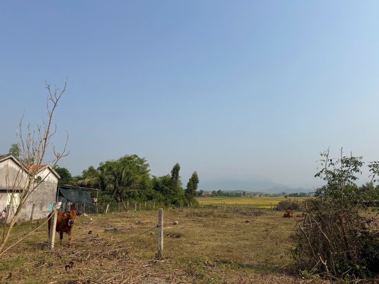 0938113403 Bán đất 151m² ngang 5m giá 250 triệu tại Xã Hòa Trí Z548