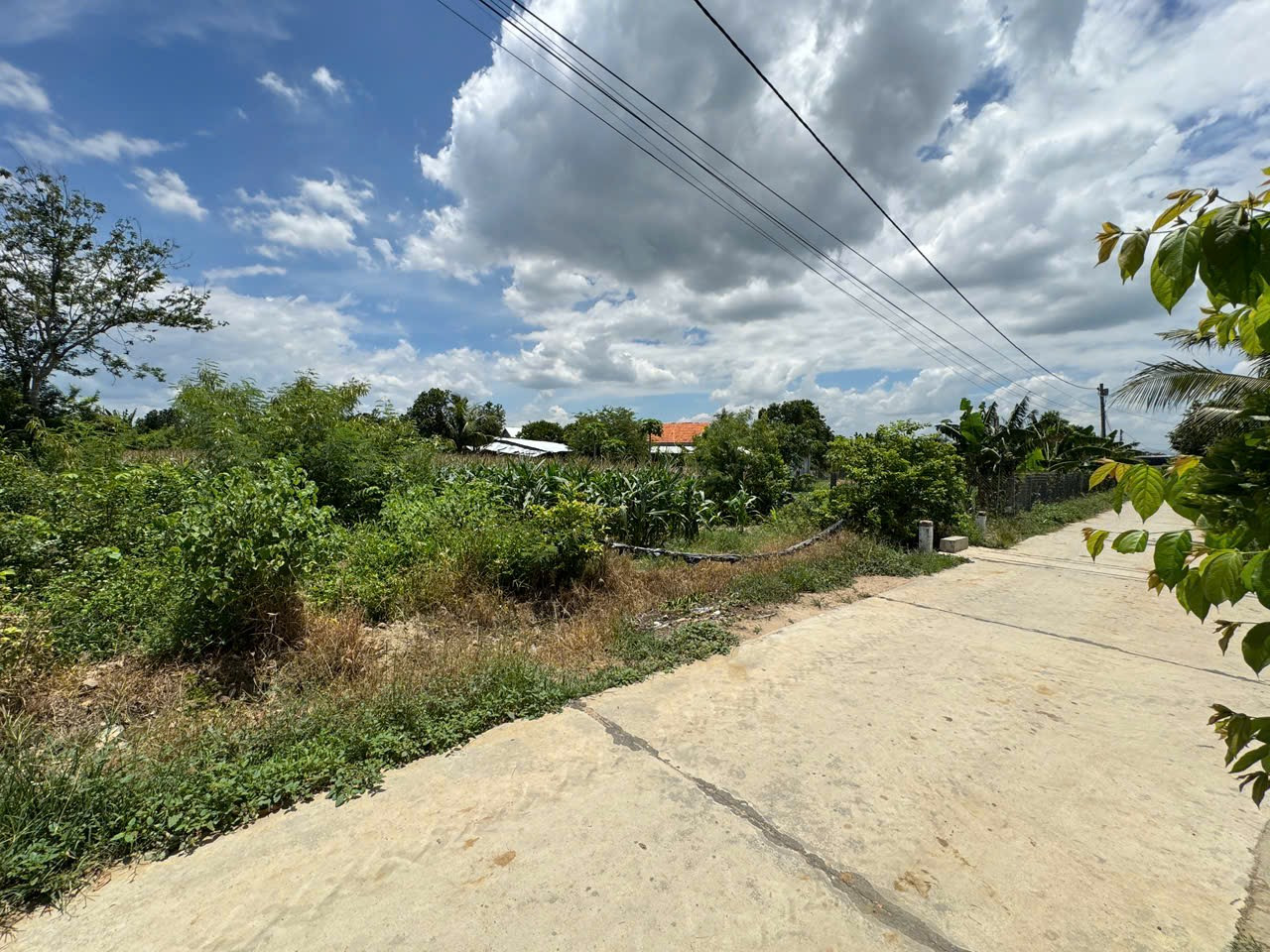 0984648677 Bán đất 108m² giá 300 triệu Xã Hòa Trí