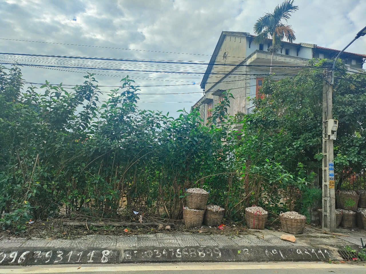BÁN ĐẤT THÔN 4,HOÀNG TÂN,QUẢNG YÊN
