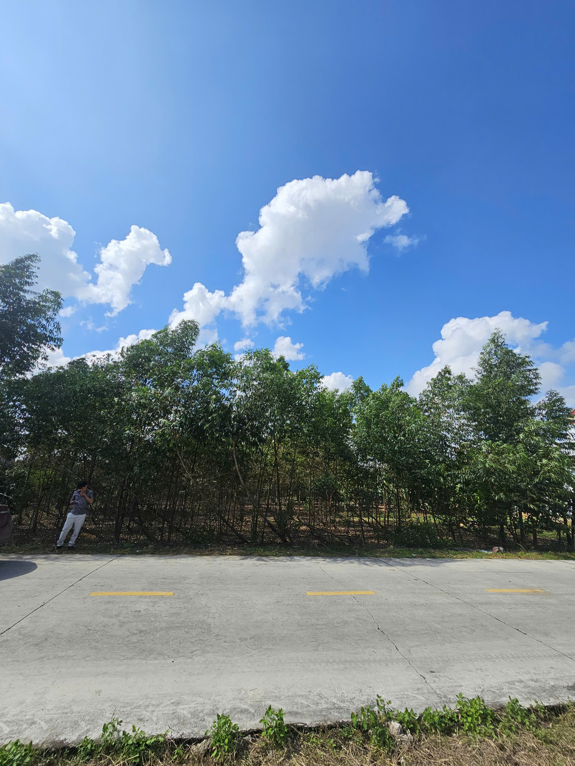 Chính chủ bán đất  KDC Tân Tiến, Phường Hoàng Tiến, TP Chí Linh – Quỹ Đất Lớn.