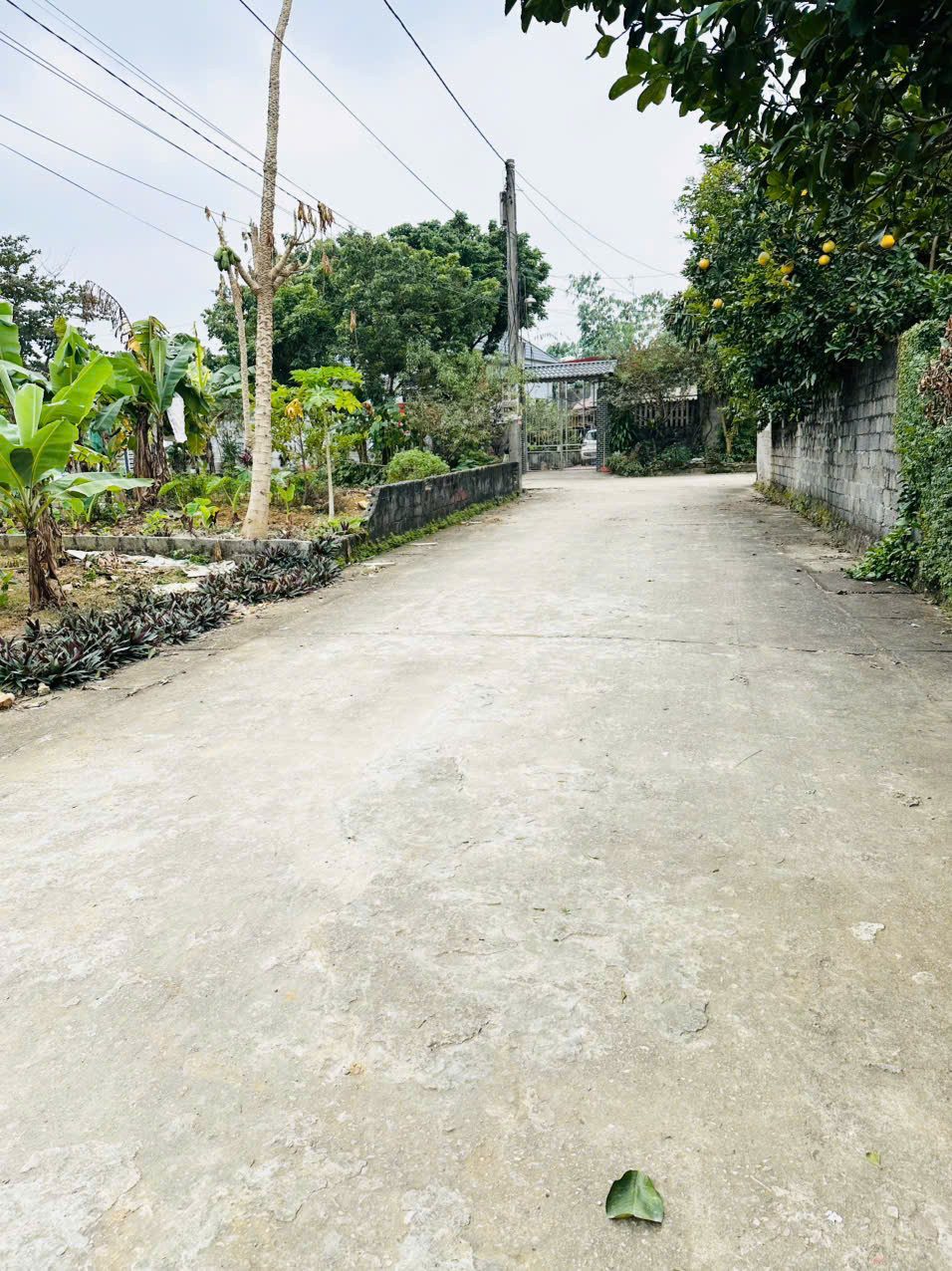 80m ĐẤT TÁI ĐỊNH CƯ CẠNH TRƯỜNG SỸ QUAN ĐẶC CÔNG 1 X TỶ CHƯƠNG MỸ HÀ NỘI