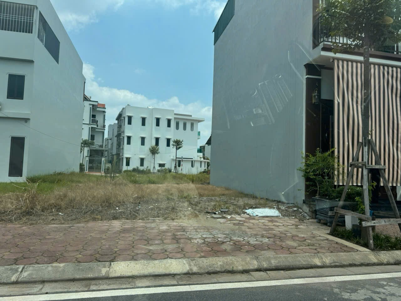 Xâm động vân tảo hà nội