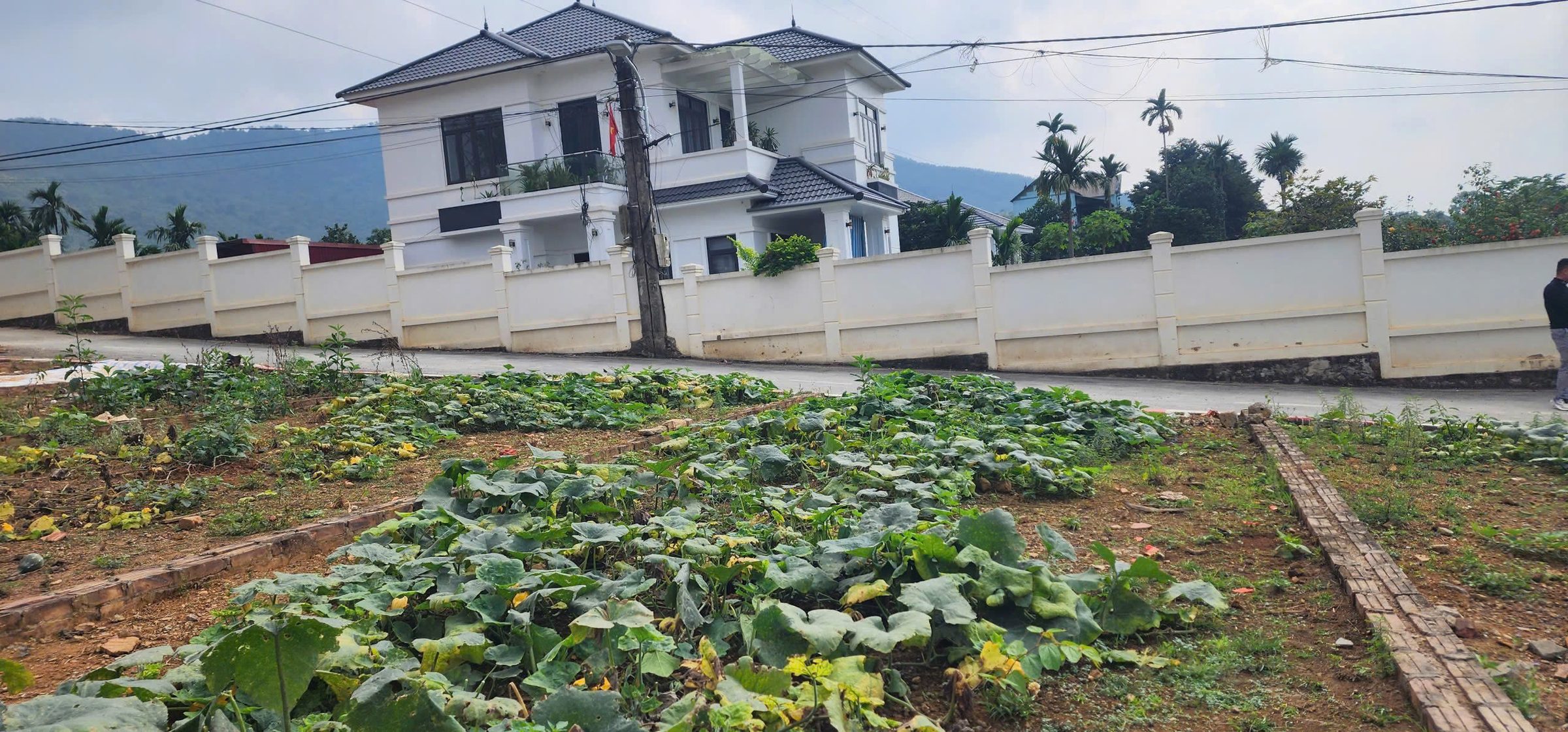 ĐẤT NỀN 2 MẶT TIỀN – VIEW SÔNG ĐÀ CỰC HIẾM TẠI TRUNG TÂM TP. HÒA BÌNH!