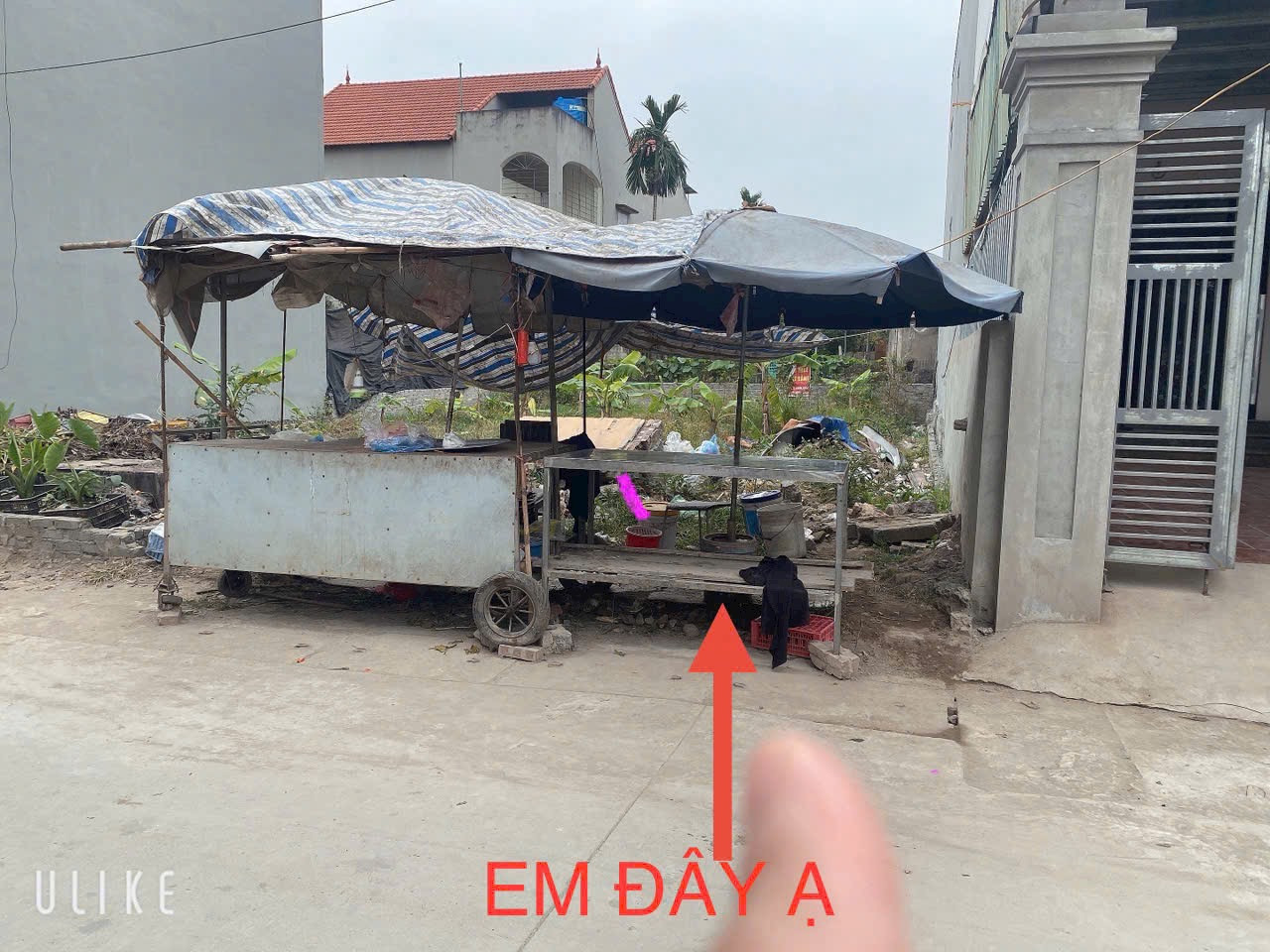 Hàng hiếm có 102 💥💥💸