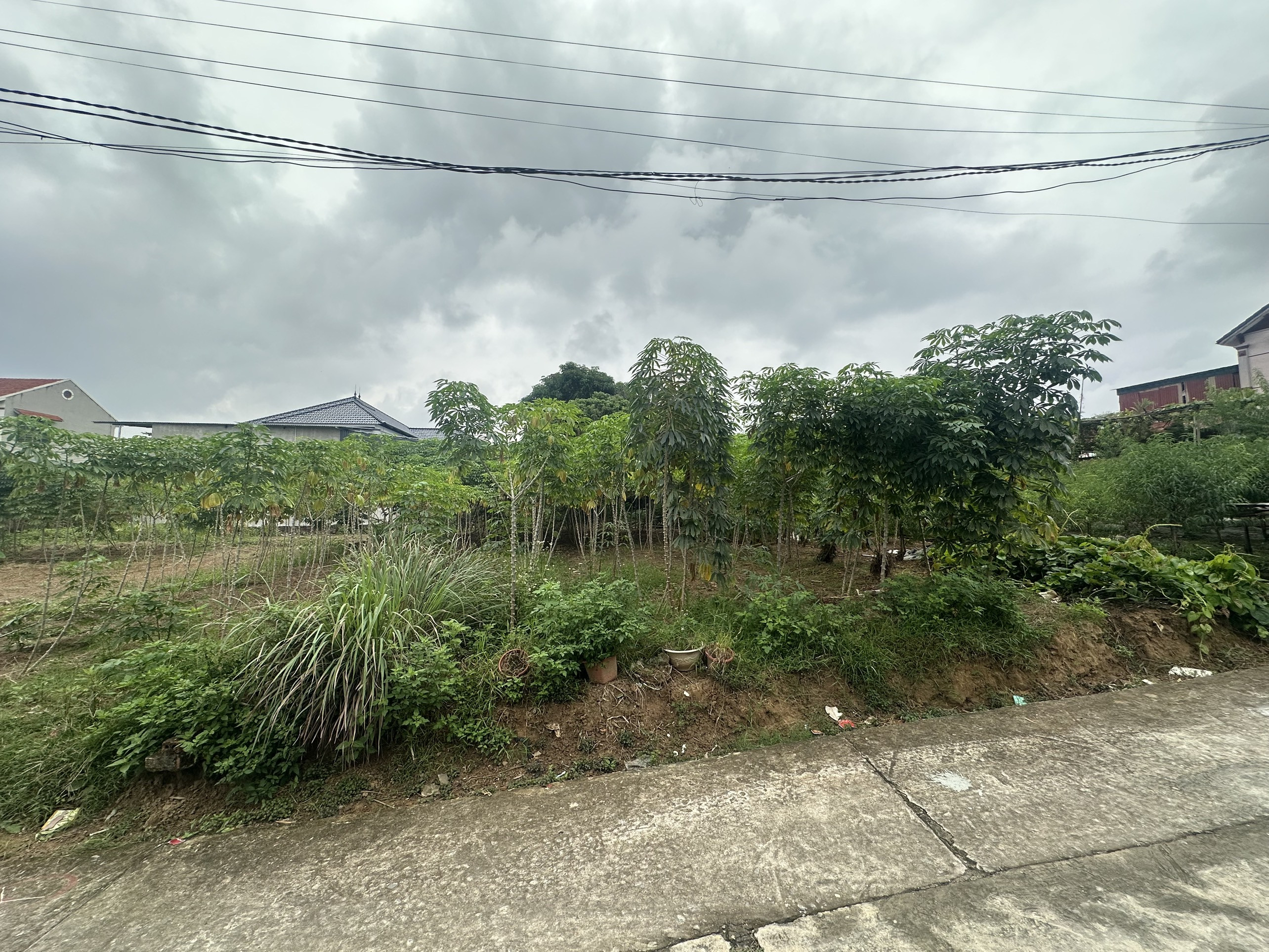 Bán đất 246,5m² ngang 11m giá 2.65 tỷ Xã Hy Cương