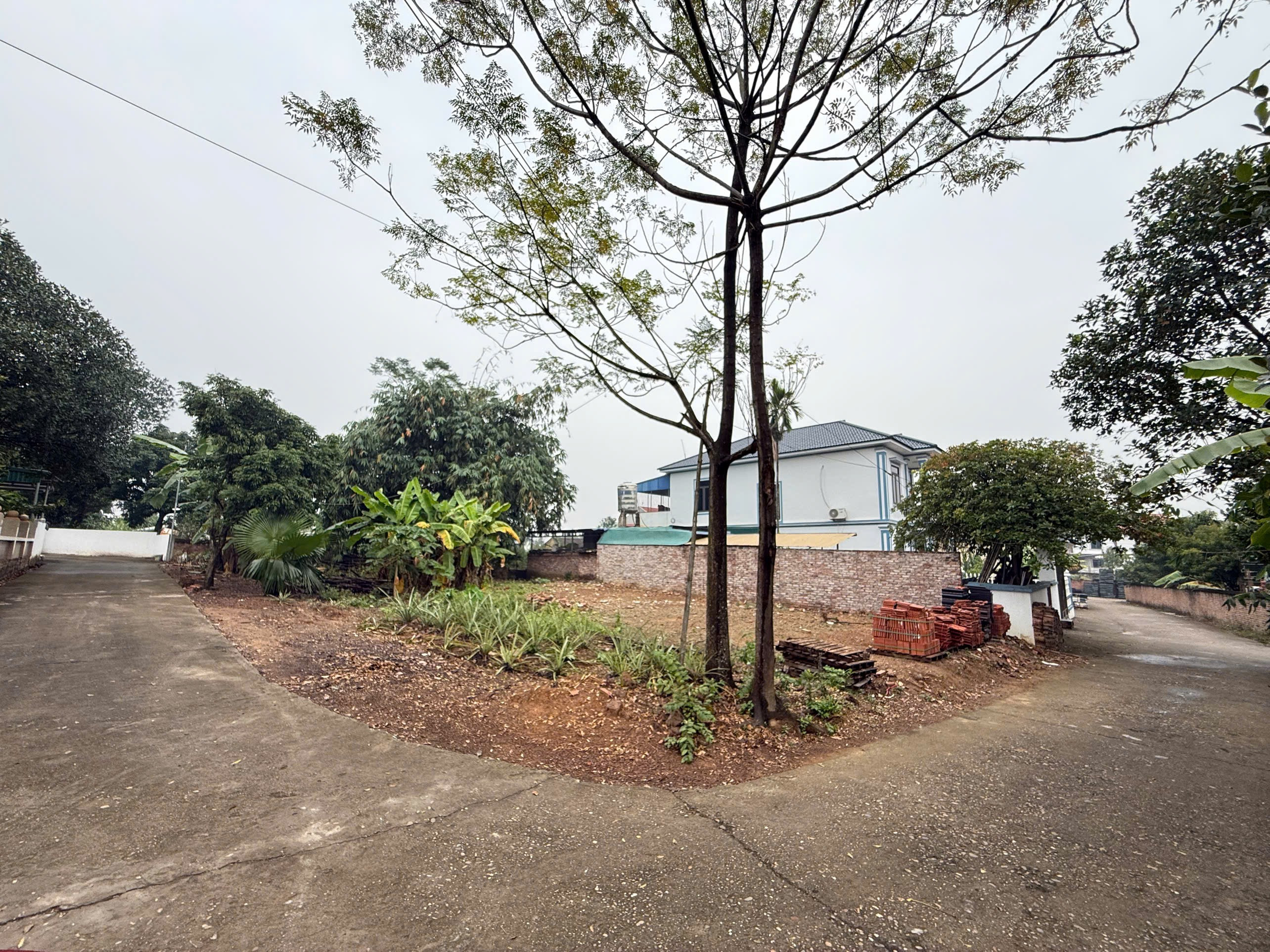 Bán đất 135m² ngang 8m giá 1.75 tỷ Xã Hy Cương