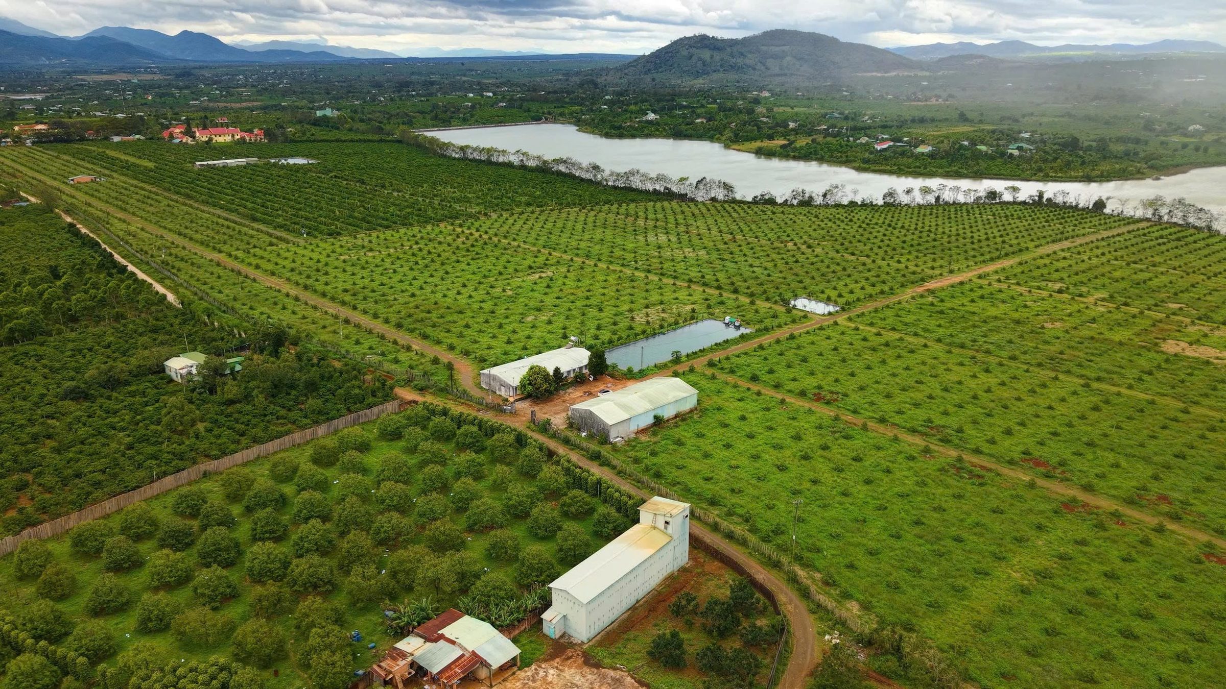 Bán đất 330000m² ngang 130m giá 139 tỷ tại Xã Ia Hrung