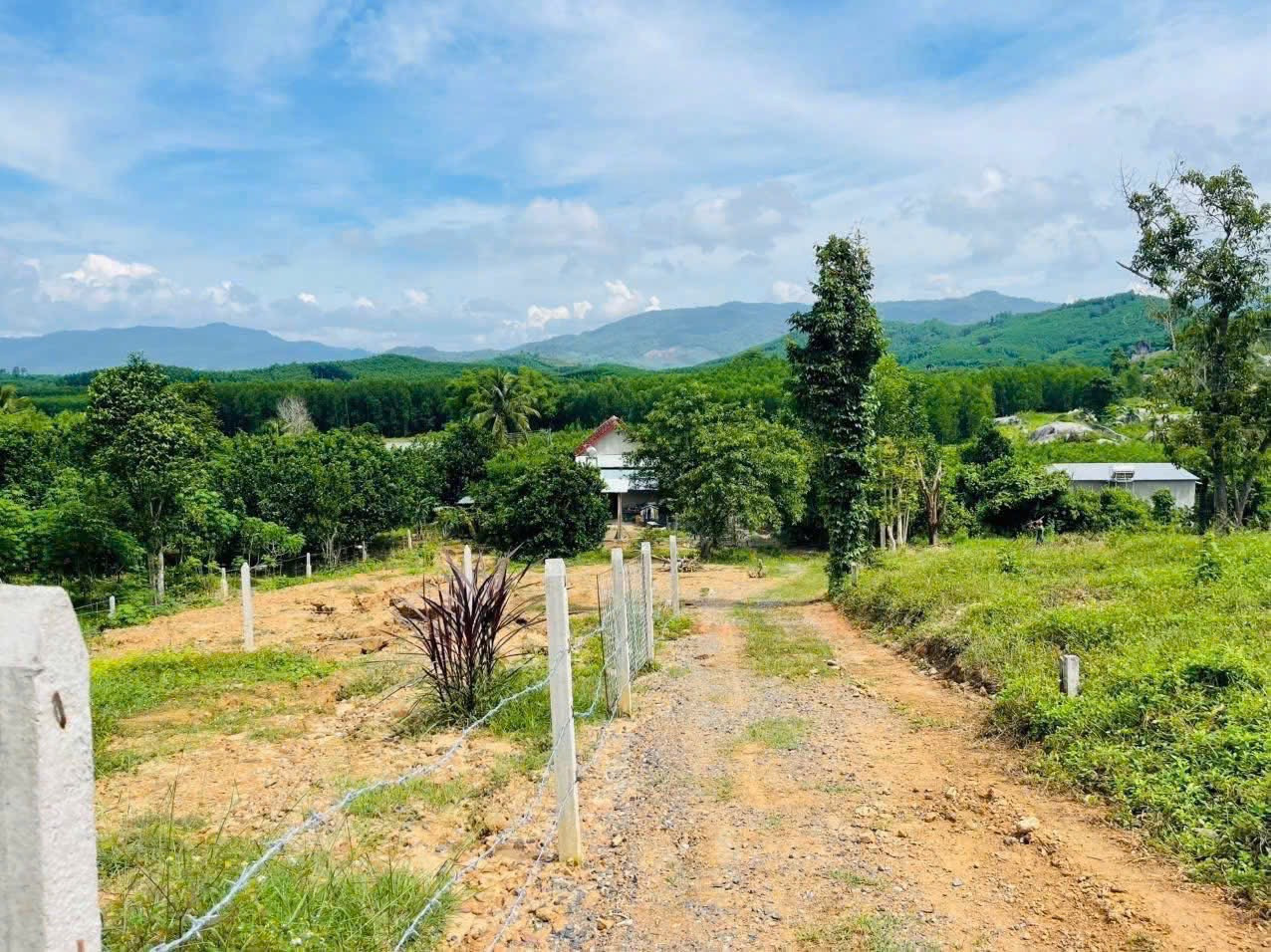 Khánh đông đất thổ cư 127m2 N5 giá (159 triệu)