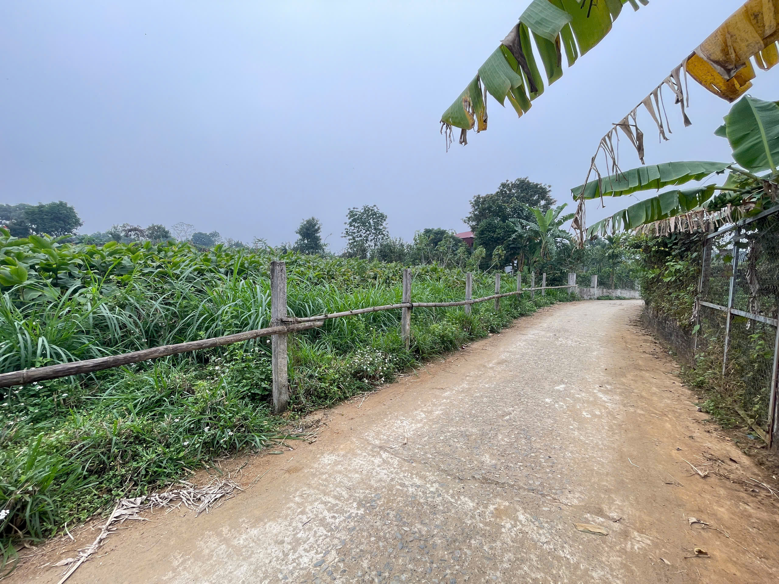 Cần bán lô đất nghỉ dưỡng tại Gò Đình Muôn, Ba Vì, Hà Nội