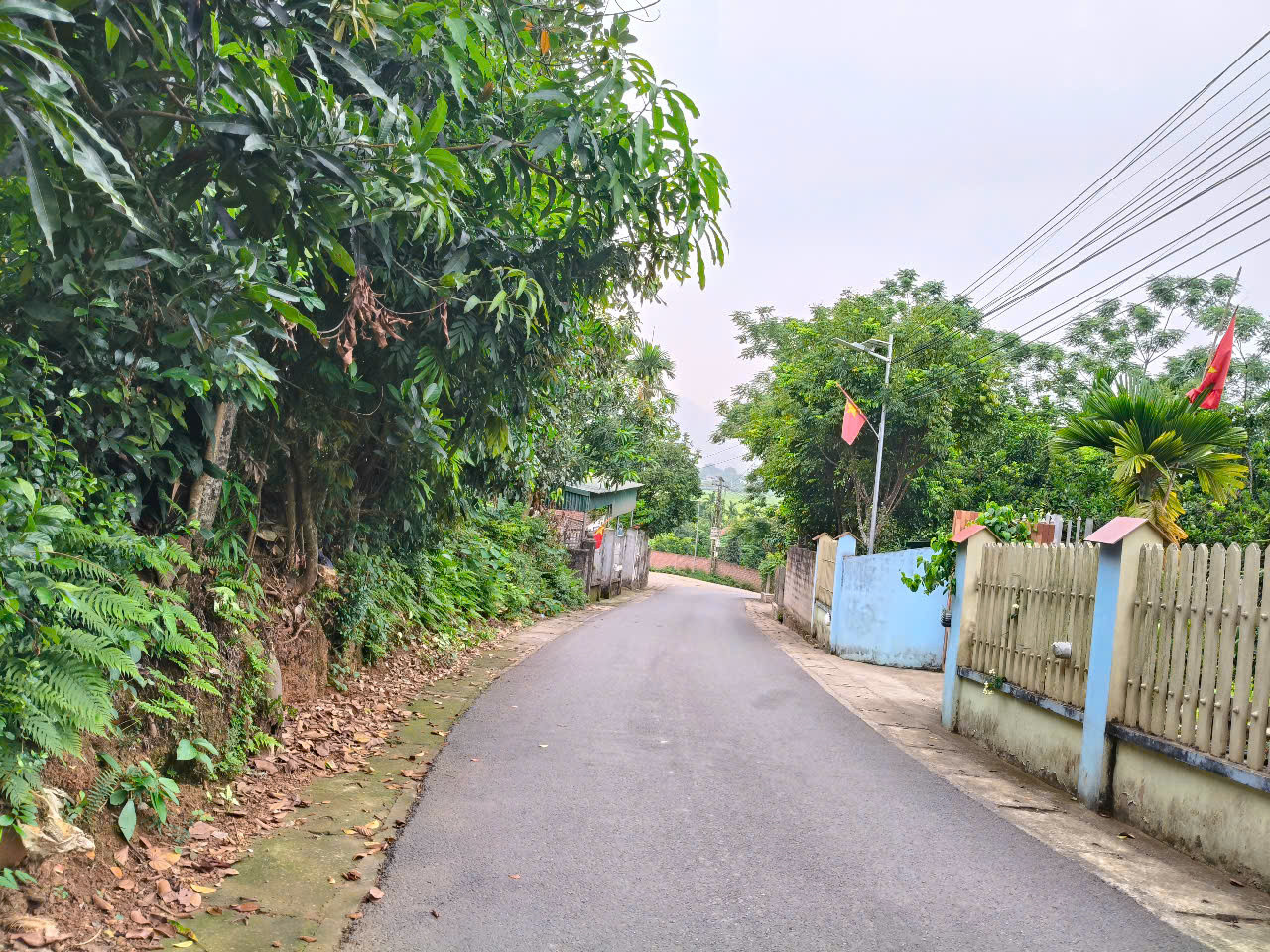 Bán đất Ba Vì vị trí đẹp, không khí trong lành, tiện đường, tiện chợ