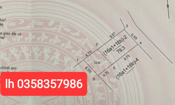 Bán đất 79.3m² ngang 5.55m giá 2.13 tỷ Xã Kim Anh