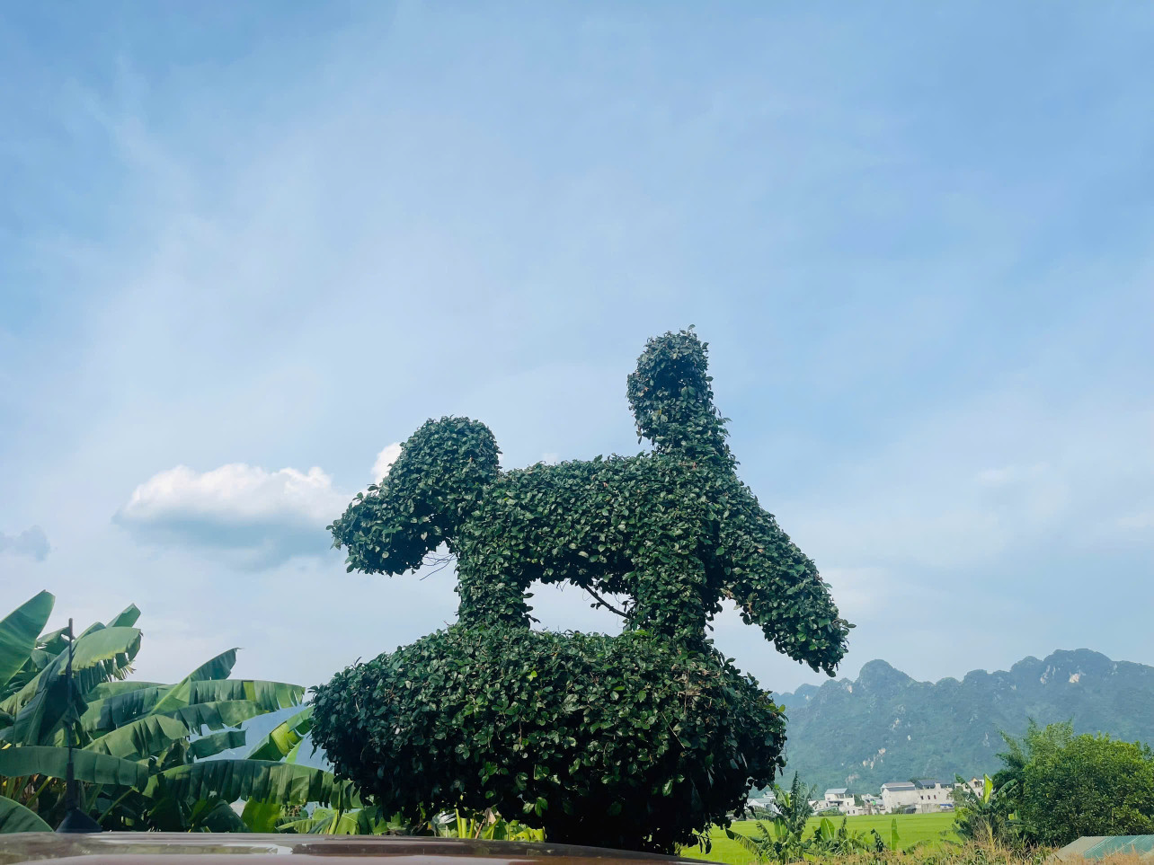 Chính chủ gửi bán lô đất nghỉ dưỡng tại Kim bôi