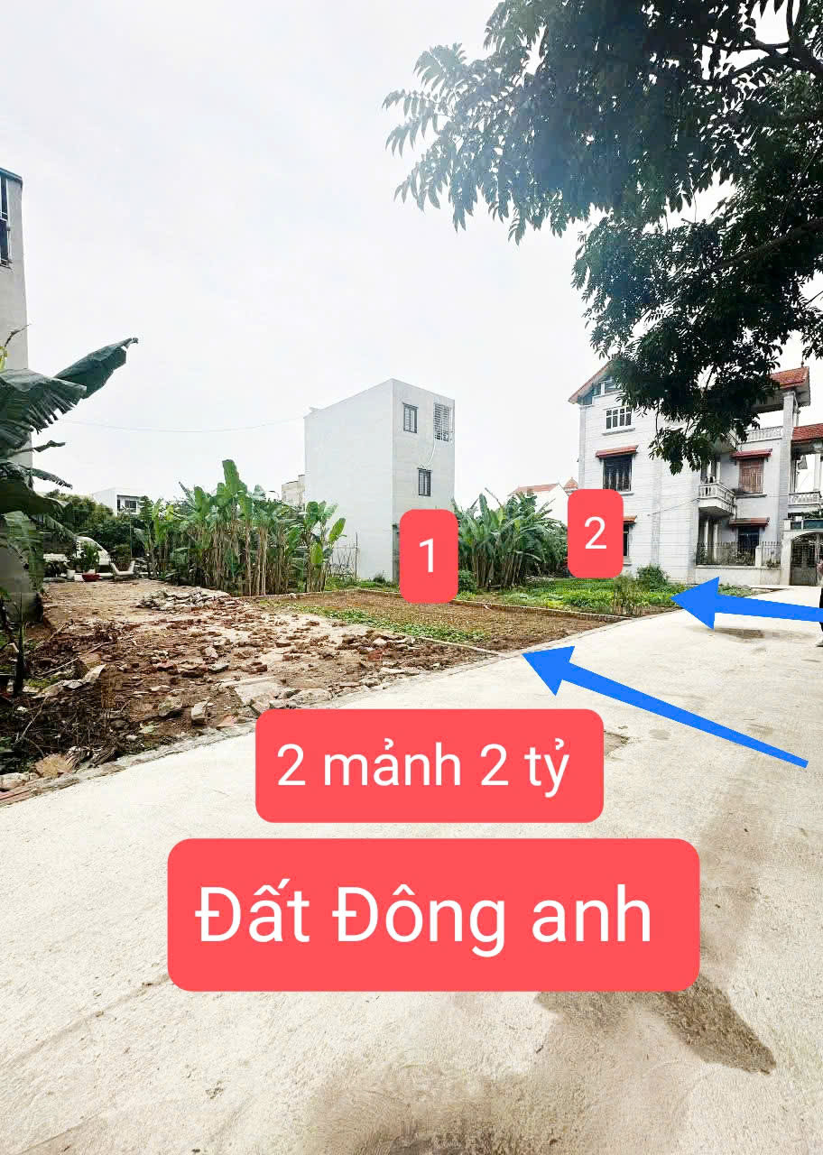 Rẻ nhất Đông Anh 2 tỷ đường ô tô bán gấp trả nợ