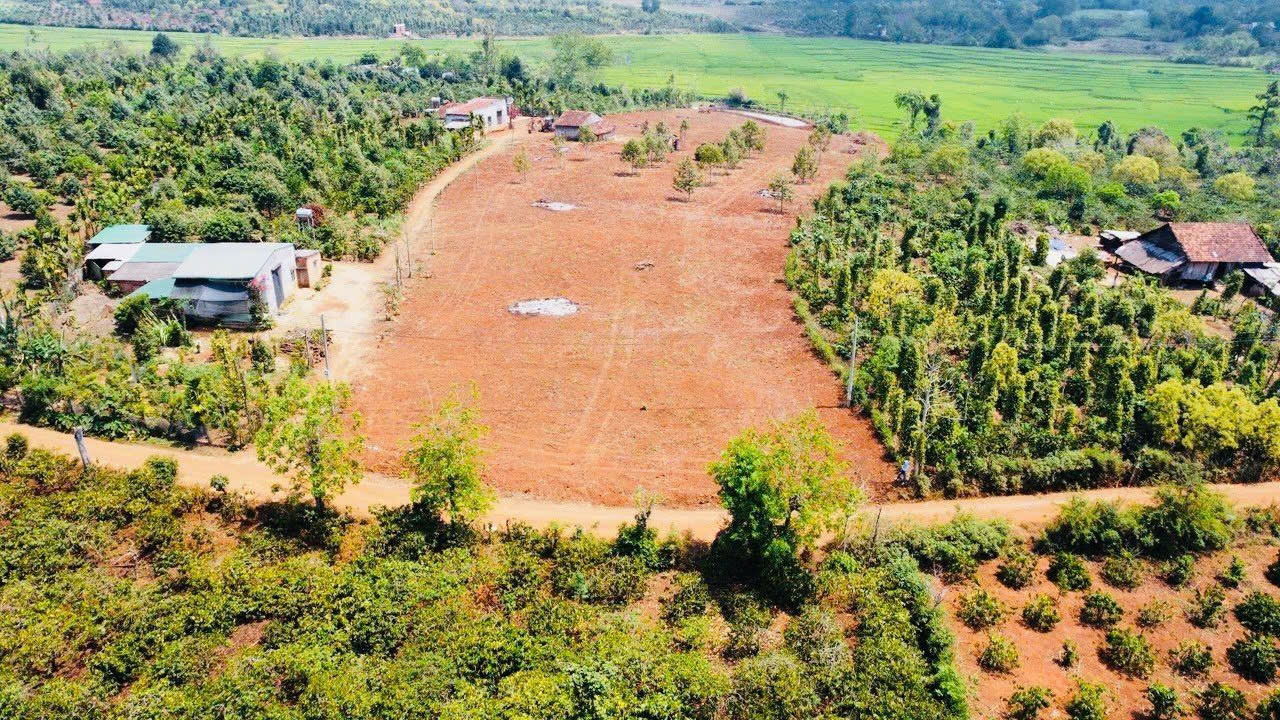 Bán đất 490.5m² giá 260 triệu Xã Krông Pắc
