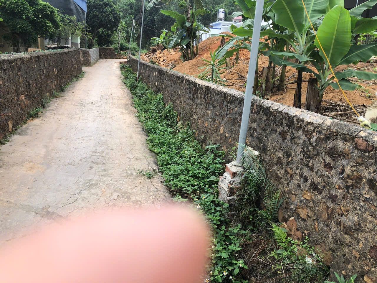 GẤP GẤP GẤP! CỨU CỌC
🌈🌈Bán đất tặng nguyên căn nhà đẹp tại 
👉Trung tâm Thôn 1 - kỳ sơn.
. Nay thuộc xã việt khê Thuỷ Nguyên Hải Phòng 

👍Dt đất bìa 420m. + 370m đất ngoài trông cây lâu năm.. (32x13 )
👉Tổng gần 794m có nhà gọn gàng ơ
Cách trường chợ