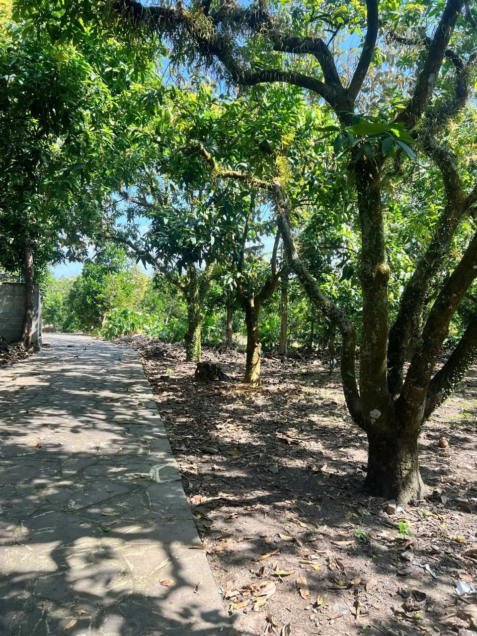 BÁN ĐẤT LA NGÀ - ĐỊNH QUÁN
Diện tích: 5.000 m² 
Vị trí: La Ngà, Định Quán, Đồng Nai.
✨ưu điểm: Đường bê tông, ô tô vào tận đất
💎Giá bán: 500 triệu / 1 sào.
📞 Liên hệ: 0328 003 182 ( chính chủ )