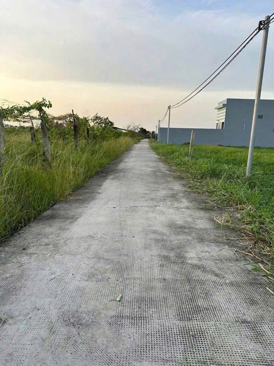 Bán đất xã Lạc Tấn , Tân Trụ tdt 1960m2 ( có 200m2 thổ) đường beton, có tường rào giá 2,2 tỷ