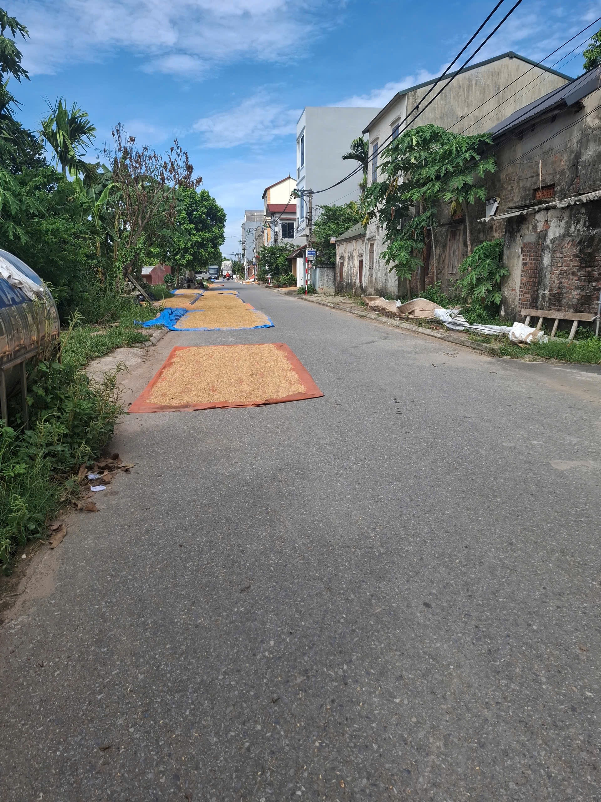 💥KIM HỒ LỆ CHI THUẬN AN GIA LÂM - DT 100 MÉT - GIÁ CHỈ 3 TỶ CÓ THƯƠNG LƯỢNG
 
👉 Vị trí vô cùng đẹp gần trường ĐH Dệt may - khu Khai Sơn tiện ích xung quanh bất tận - giao thông đi lại thuận tiện - tiềm năng tăng mạnh cho nhà đầu tư

📕Sổ đỏ pháp lí chu
