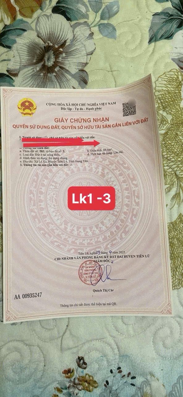 Giãn dân Lệ Xá Tiên Lữ ( Mặt Tiền Kinh Doanh )