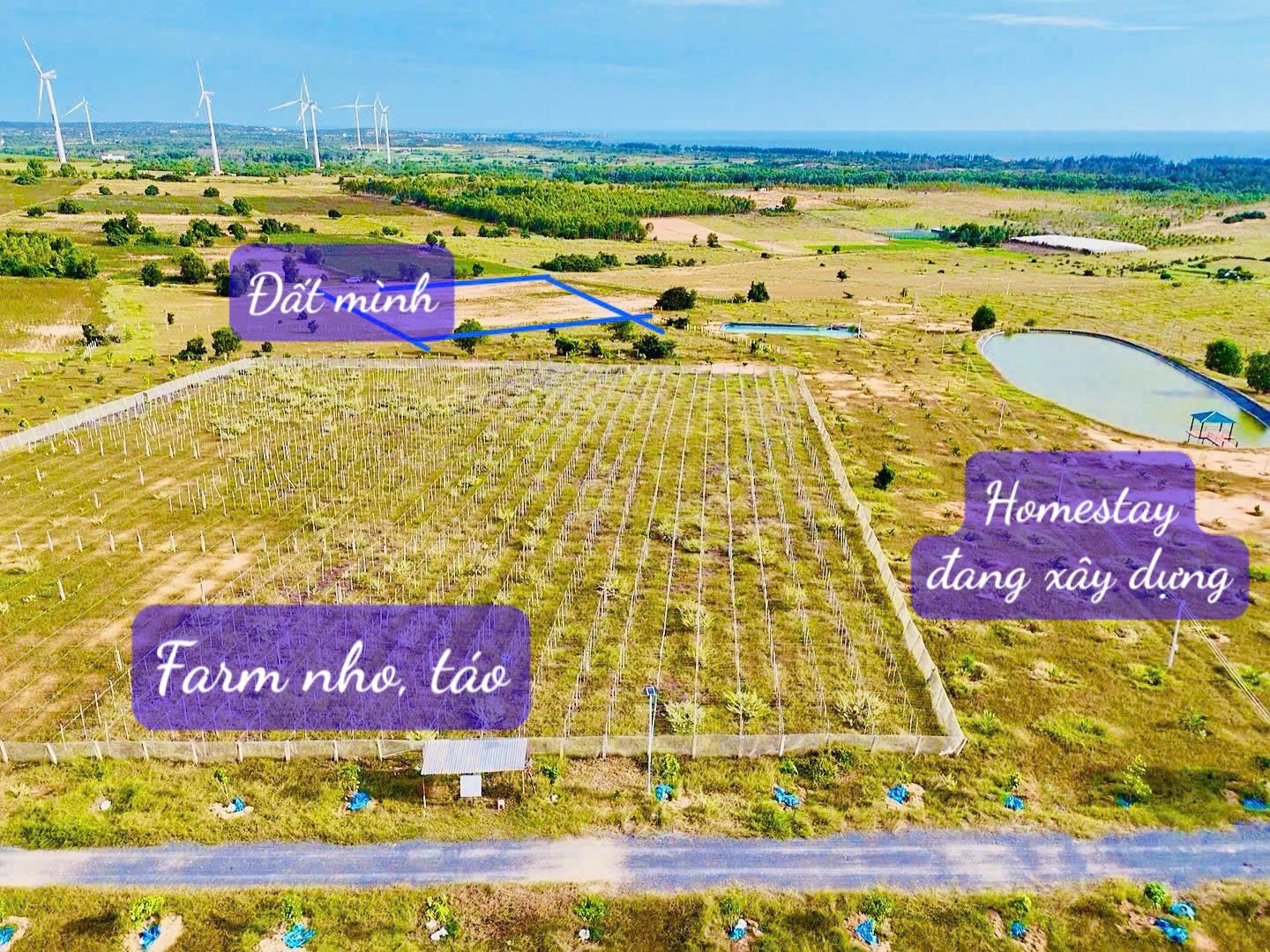 Bán đất 1000m² ngang 10m giá 200 triệu tại Xã Liên Hương