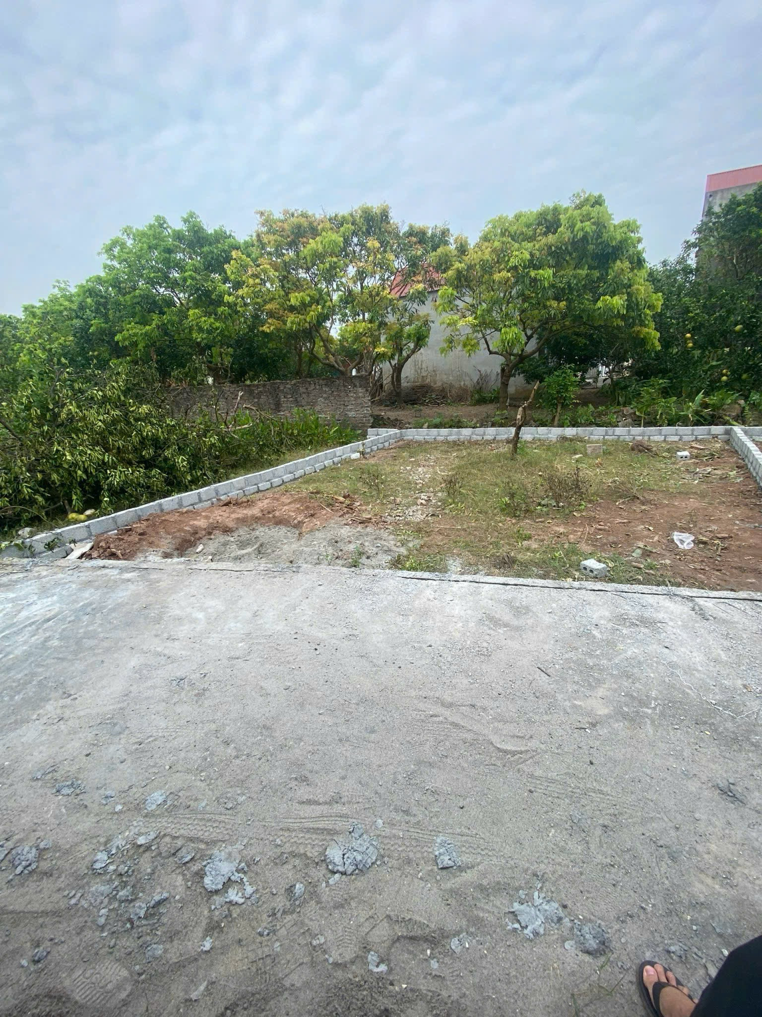 🔥 TÀI CHÍNH < 2 TỶ – SỞ HỮU NGAY ĐẤT Ở VĂN GIANG

📍 CD Quán Trạch – Văn Giang – Hưng Yên

📐 Diện tích: 50m² đất ở (mặt tiền 5,9m) 

🚗 Đường ô tô vào tận đất, di chuyển thuận tiện

🏫 Gần trường học – chợ – khu dân cư đông đúc

📈 Phù hợp ở lâu dài