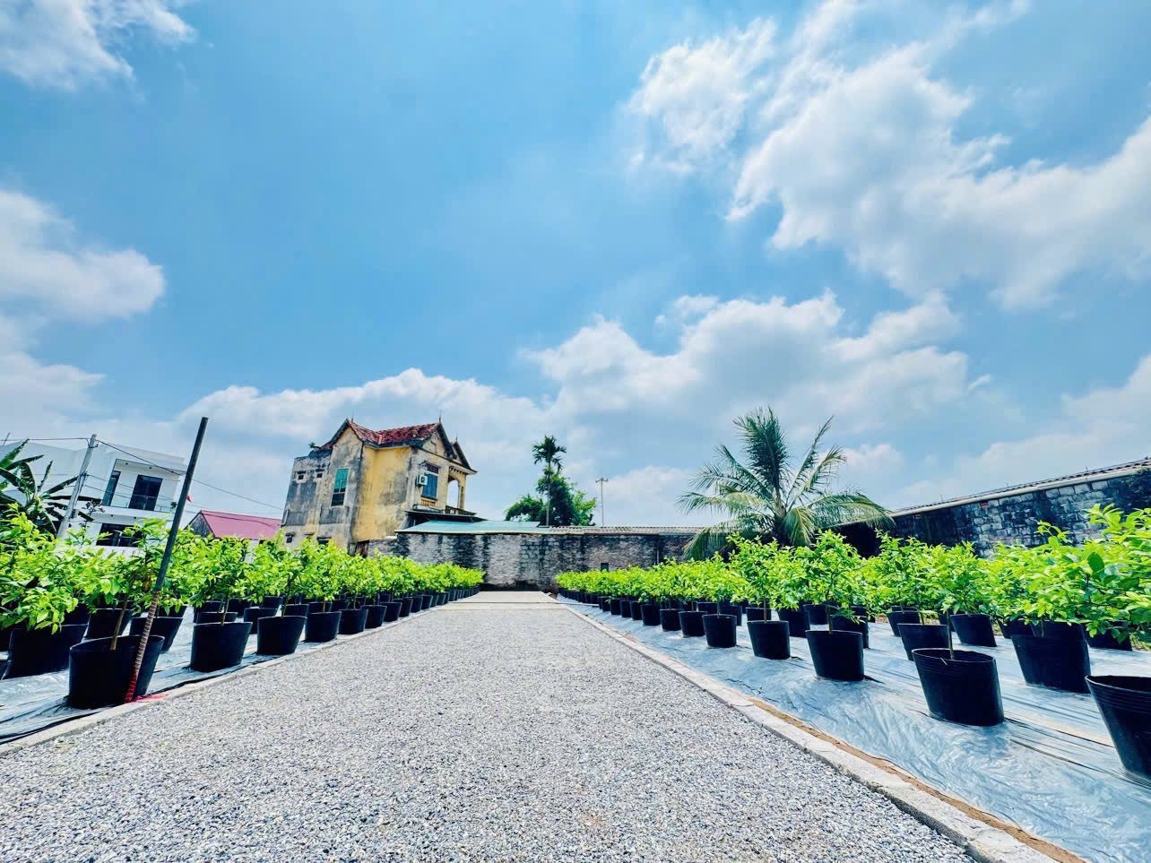 🌹 FO Văn Giang – Chỉ nhỉnh 1,7 tỷ đồng/lô🌹

🚗 Ô tô vào tận đất
📍 Thôn AB, Quán Trạch, Văn Giang, Hưng Yên

✅ View hồ thoáng đẹp
✅ Bán kính 500m đầy đủ tiện ích: chợ, trường học, PVF, ĐH Bách Khoa CS2…
✅ Phù hợp đầu tư hoặc xây ở
✅ Pháp lý rõ ràng