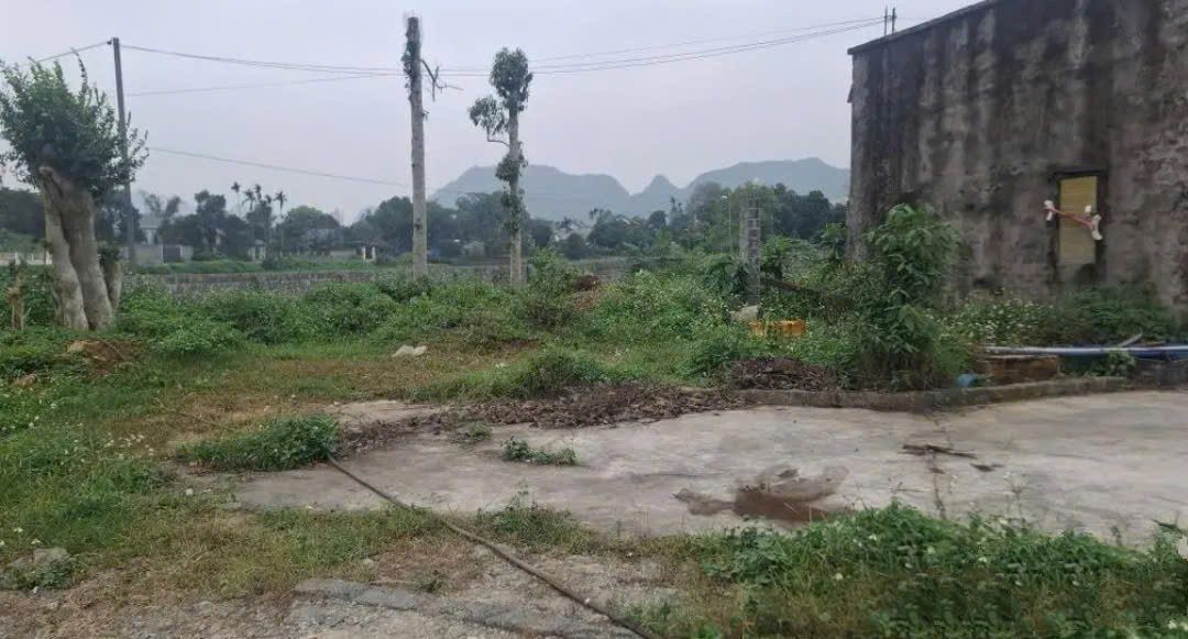 3333m - đất nghỉ dưỡng - view núi - sẵn ao và vườn cây  - giá 4,x tỷ