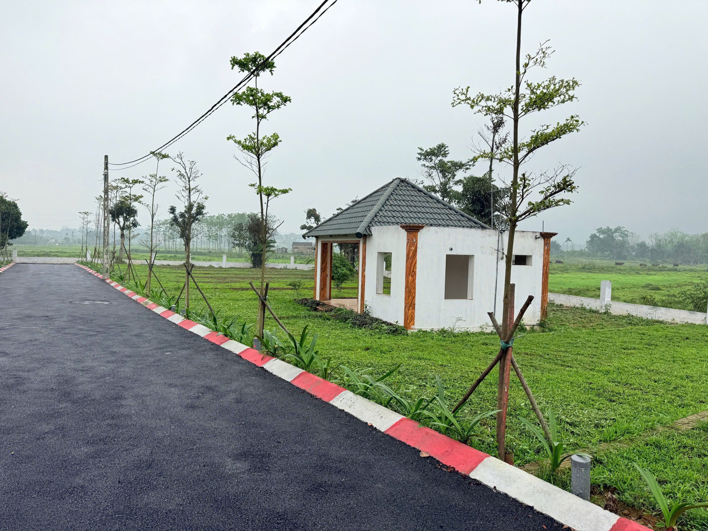 CHỈ TỪ 9TR/m² – ĐẤT SÁT VÁCH KCN NHUẬN TRẠCH (PHÚ SƠN)