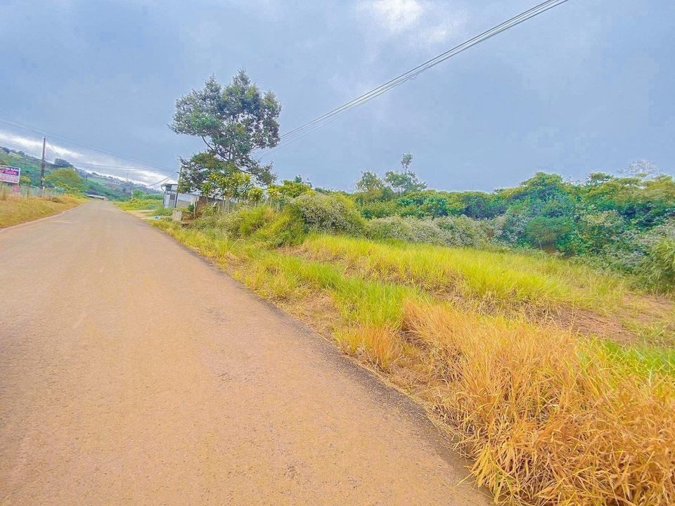 Bán đất mặt tiền đường nhựa có sẵn thổ cư , view tuyệt đẹp Thích hợp nghĩ dưỡng, đầu tư 9039m2