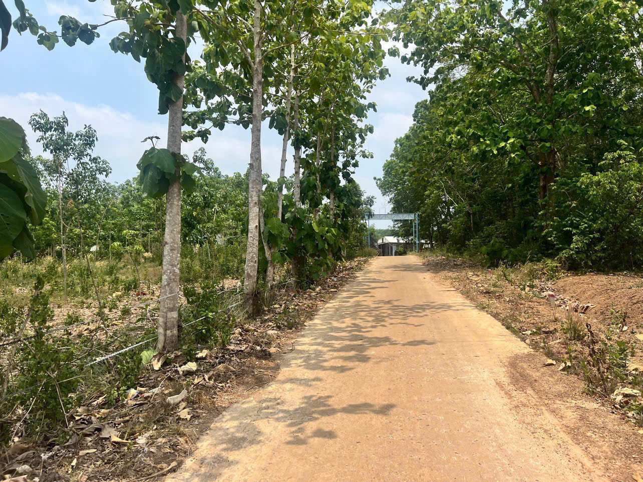 Tài Chính 99tr Muốn Sở Hữu Ngay Tài Sản 
Bán Đất Lộc Quang ,bình phước ( Đồng Nai )