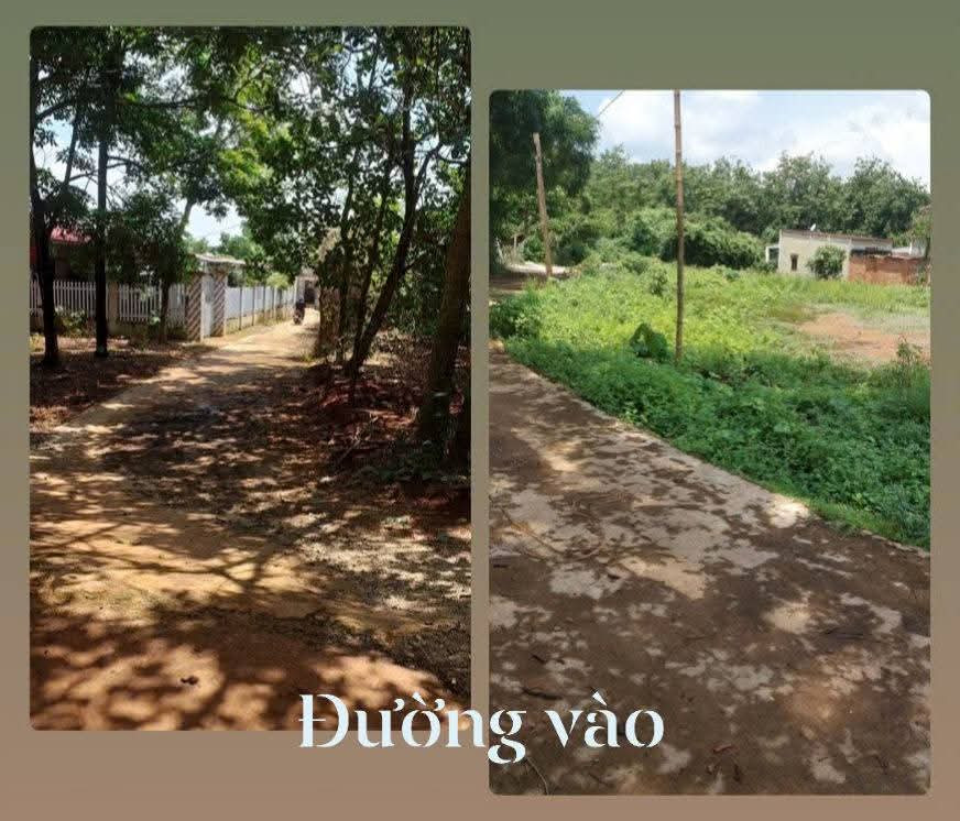 Ấp Măng Cải - Xã Lộc Thiện - Huyện Lộc Ninh (Địa chỉ mới: Xã Lộc Tấn, Tỉnh Đồng Nai) - 370m2 có 100m2 thổ cư