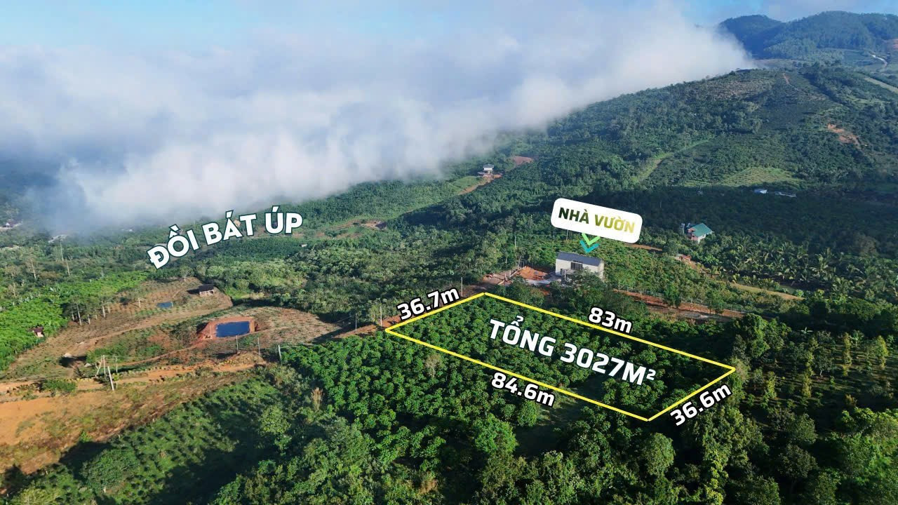 Bán đất Lộc Thành, Bảo Lâm giá rẻ