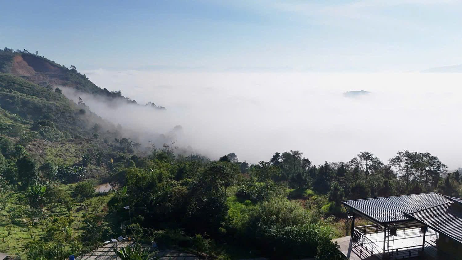 🌄 ĐẤT SĂN MÂY CHÂN MÂY – VIEW BIỂN MÂY TRƯỚC MẶT – 150M MẶT TIỀN 🌄