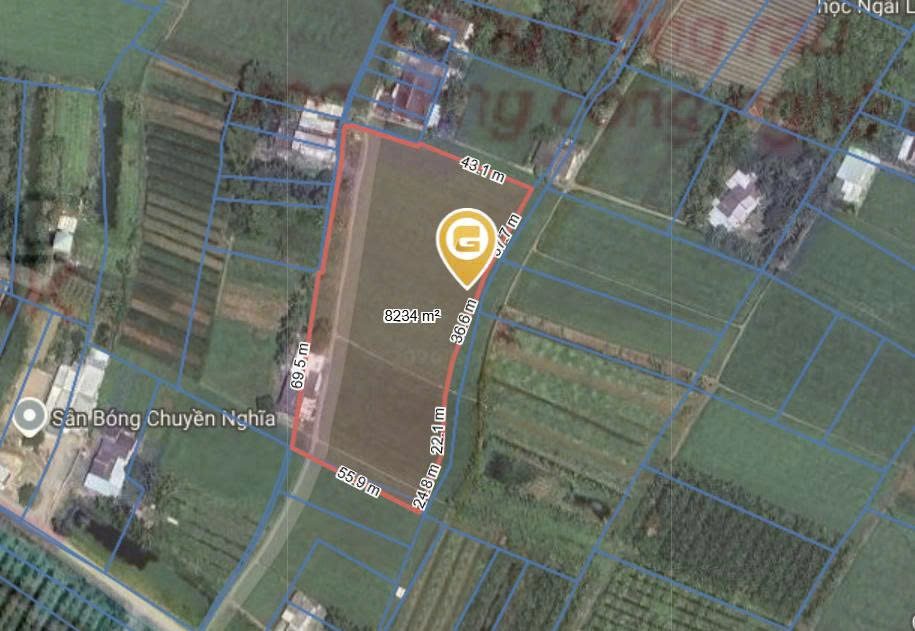 Cần tiền bán gấp 8234m2 đất xã Lợi Bình Nhơn, TP. Tân An, tỉnh Long An (Tây Ninh)