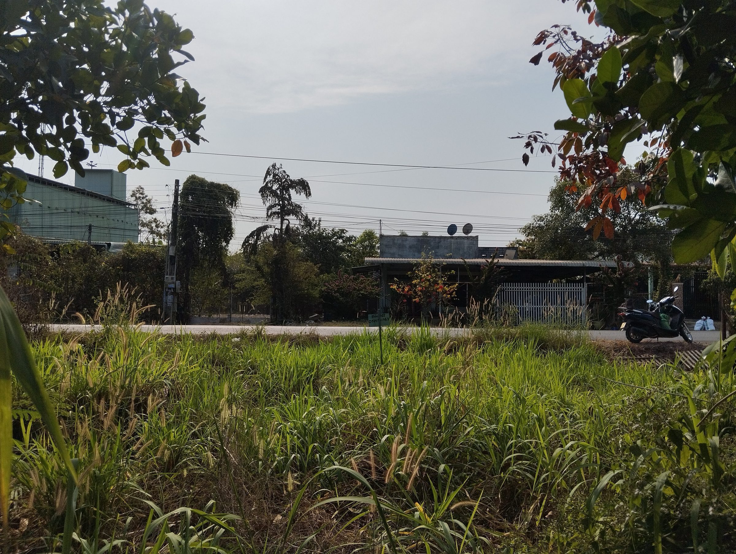 Bán đất 925m² có sẵn 30m² thổ cư ngang 10m giá 2.05 tỷ tại Xã Long Hoà Huyện Dầu Tiếng