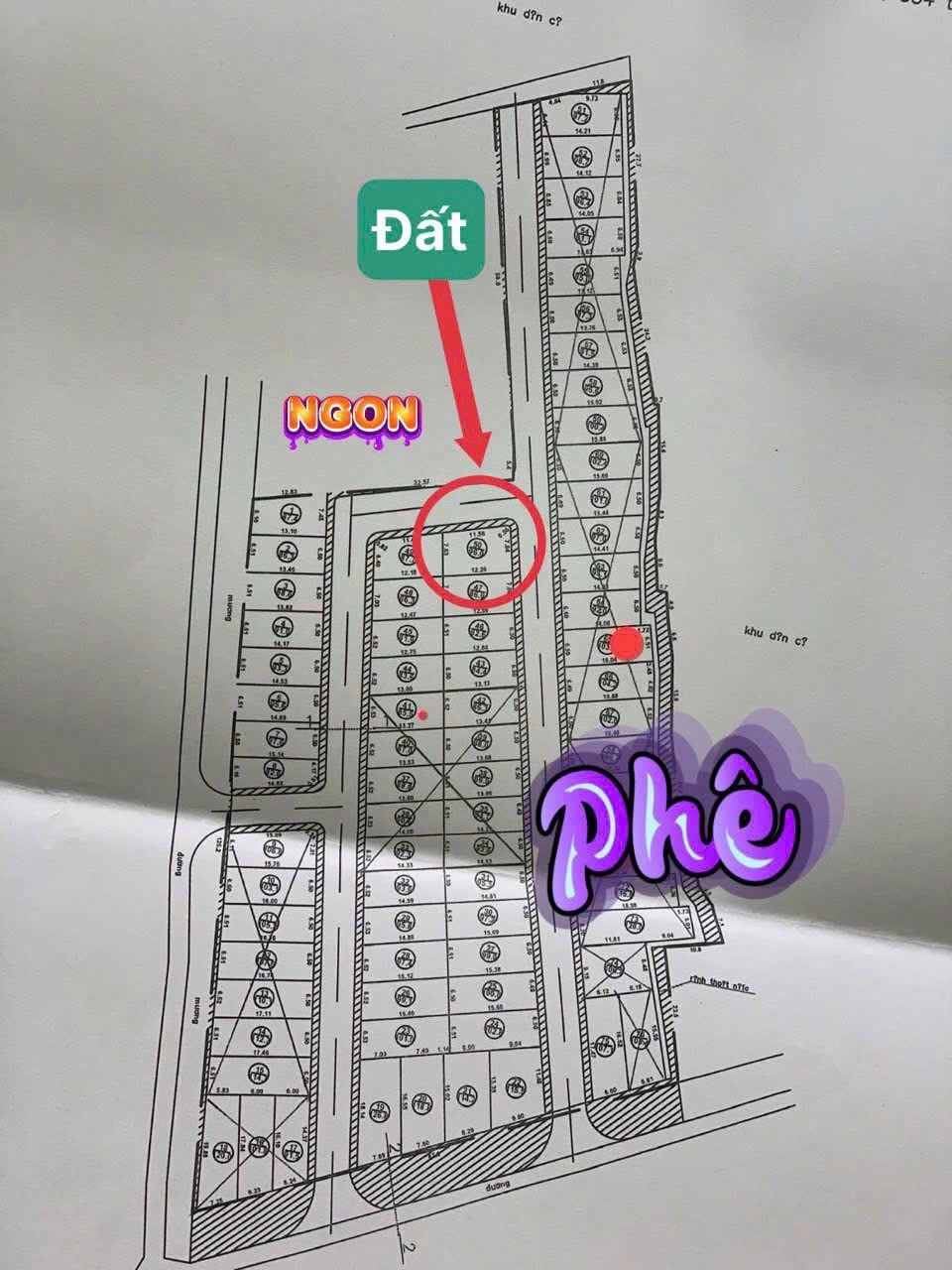 👑🔥 SIÊU PHẨM LÔ GÓC 96m² – ĐẤU GIÁ SỞ ĐÔNG