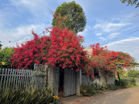 10 tỷ, 1000m2 nhà riêng tại Xã Long Phước, Bà Rịa, Bà Rịa Vũng Tàu, 10 tỷ, 1000m2